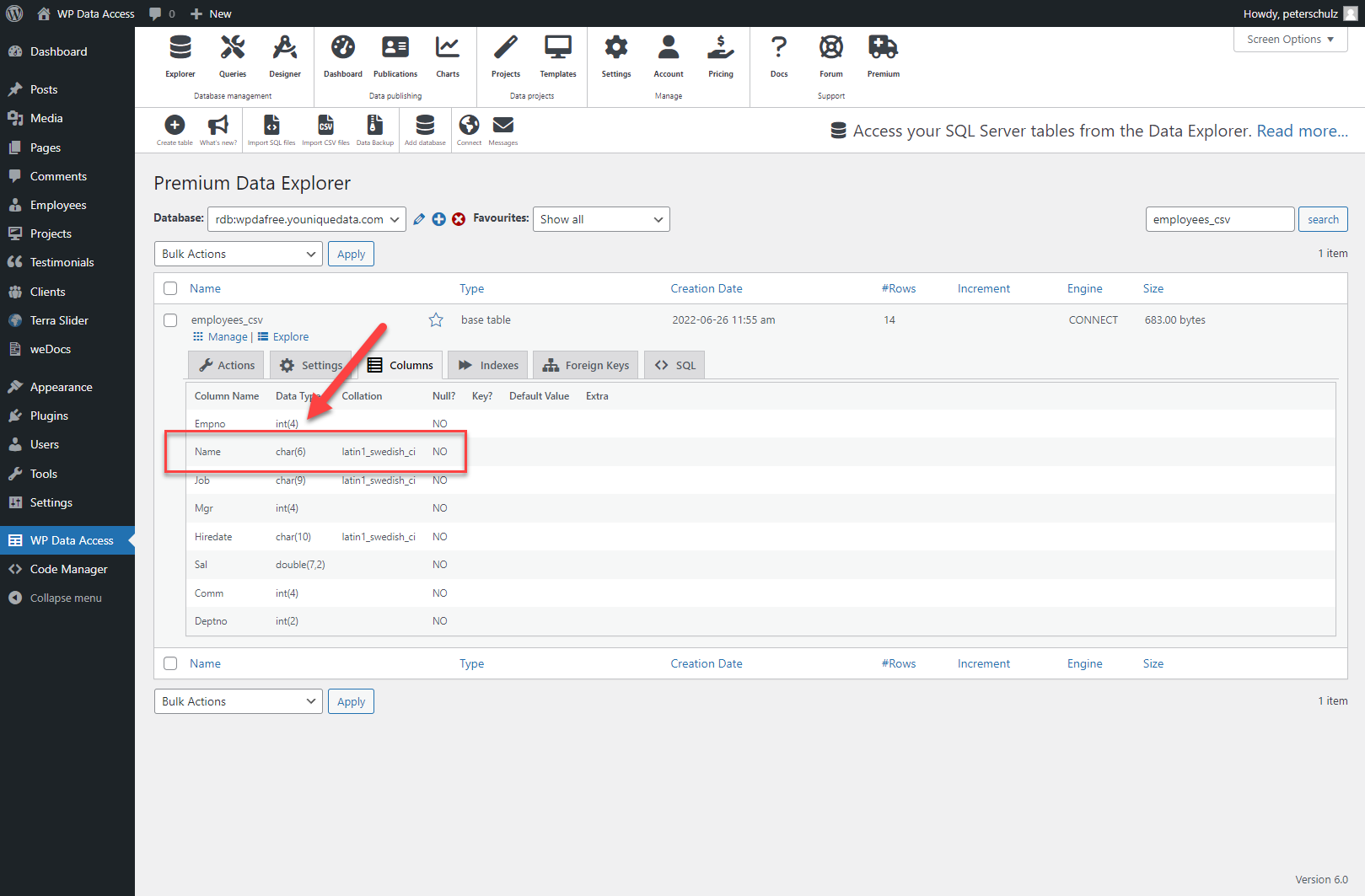 WP Data Access - PDS - Fixing Errors